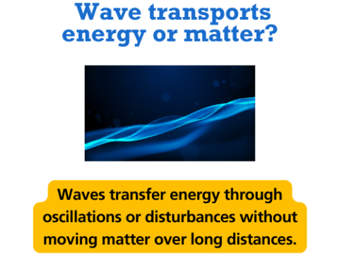 wave transport energy instead of matter